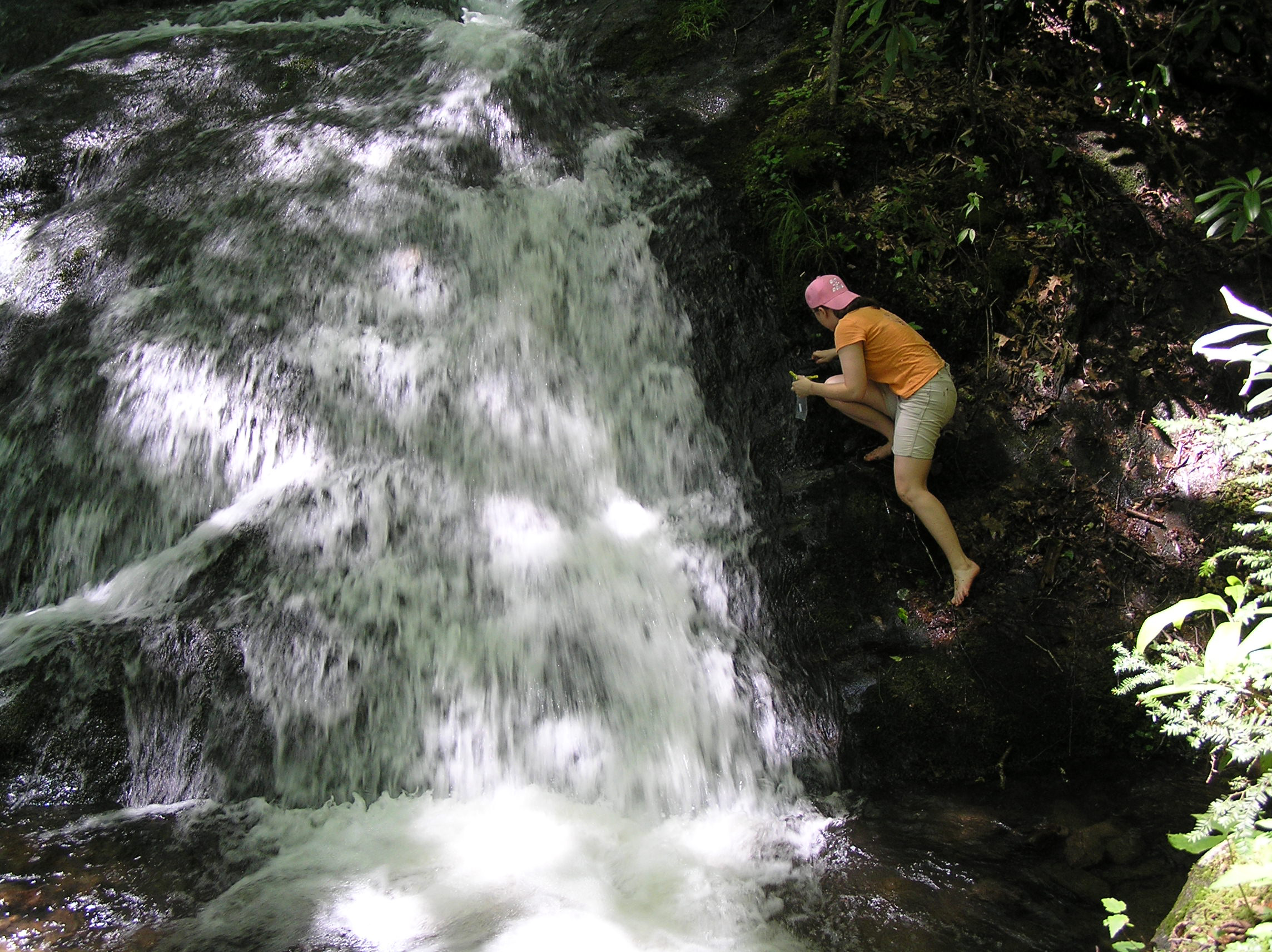 Karolina  Smokys  Chasteen Cascade