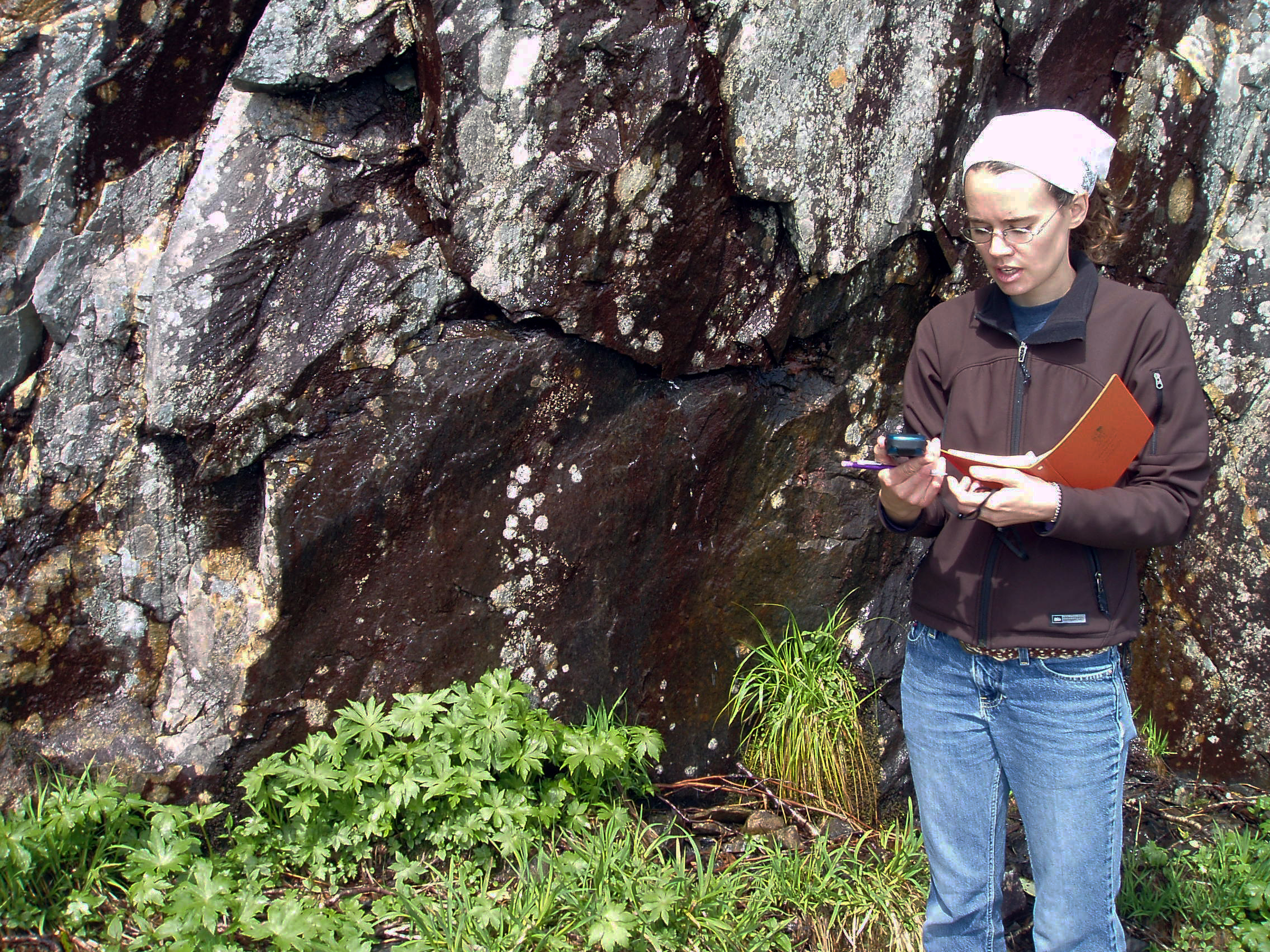 Linda Closeup  Gps  Gsmnp