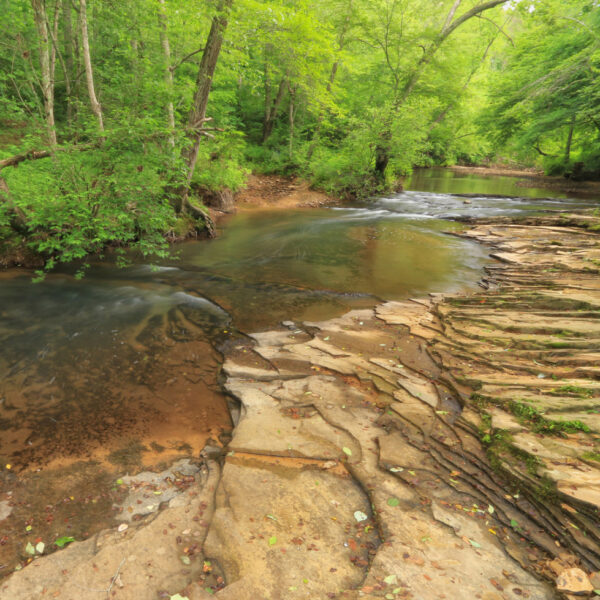 Blackburn Fork  Little Black Warrior River