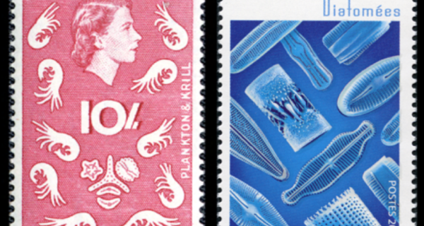 Fig 1 Oldest 1963 Newest 2016 Diatom Stamps