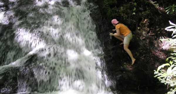 Karolina  Smokys  Chasteen Cascade