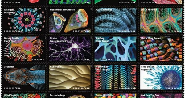 Life magnified stamps