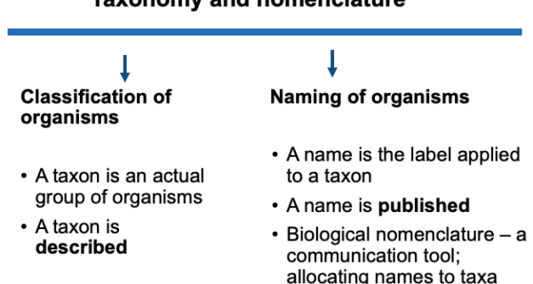 Taxonomy And Nomenclature