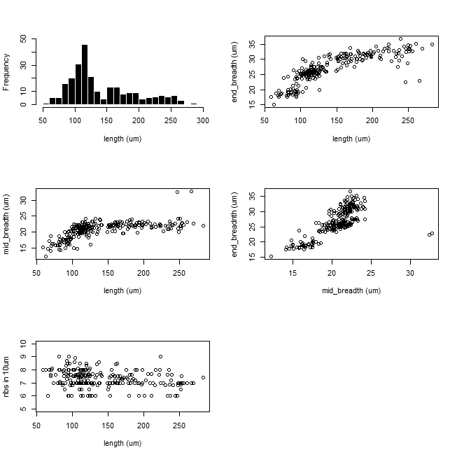 C Solea Graphs