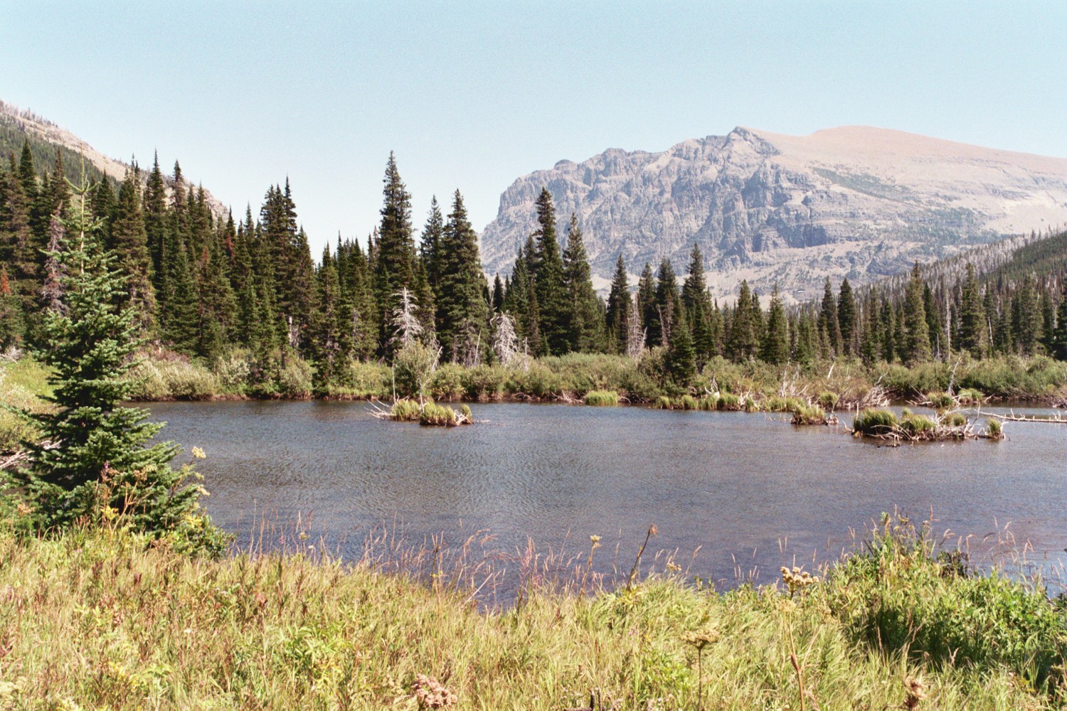 Atlantic  Pond