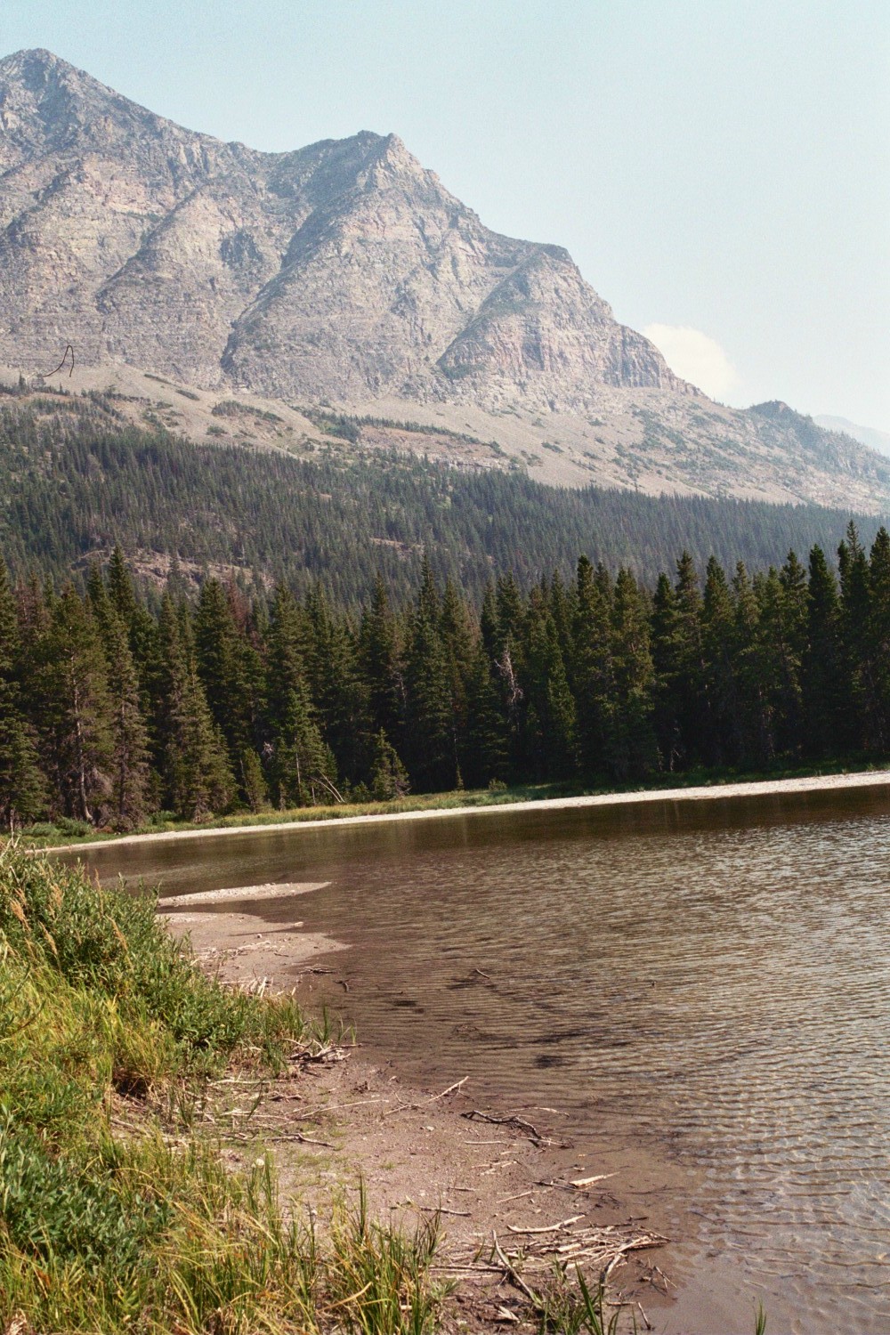 Cut  Bank  Pond  Gnp