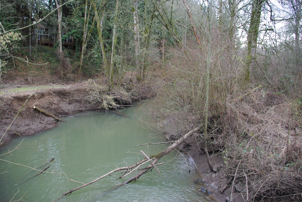 Fanno  Creek  Durham  Oregon