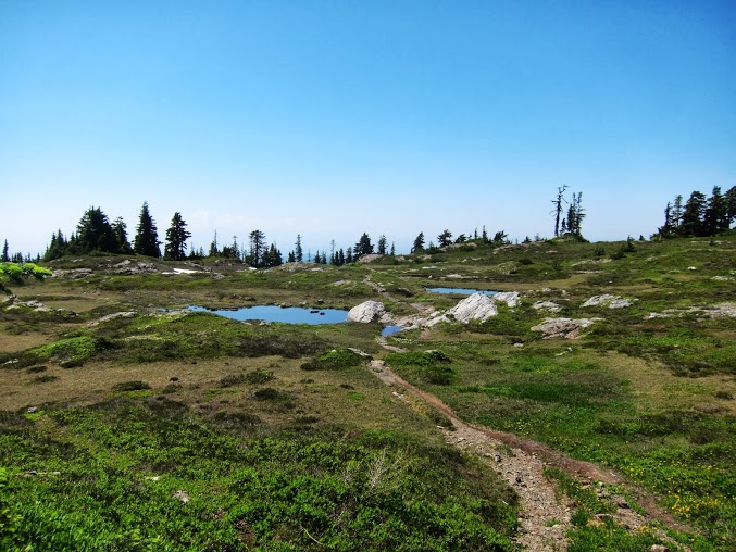 Goat Flats Pond