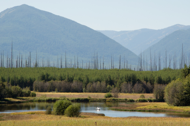 Hidden Meadow Lake