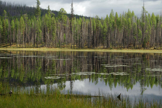 Howe  Lake 2  Gnp 1