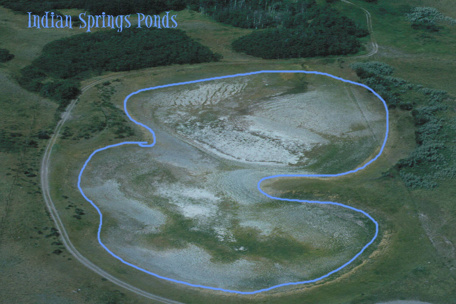 Indian  Springs  Ponds