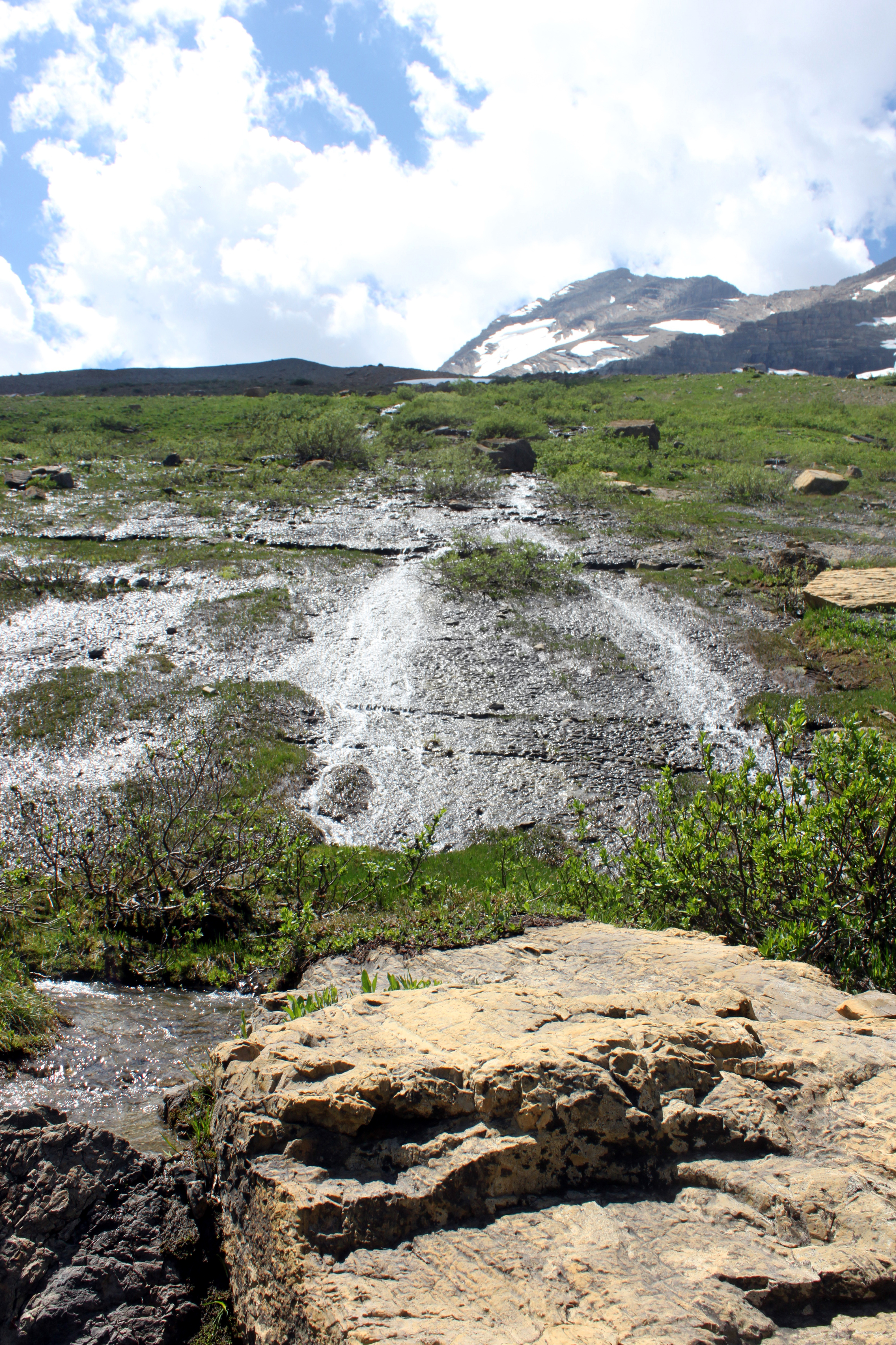 Jackson Basin Site 1