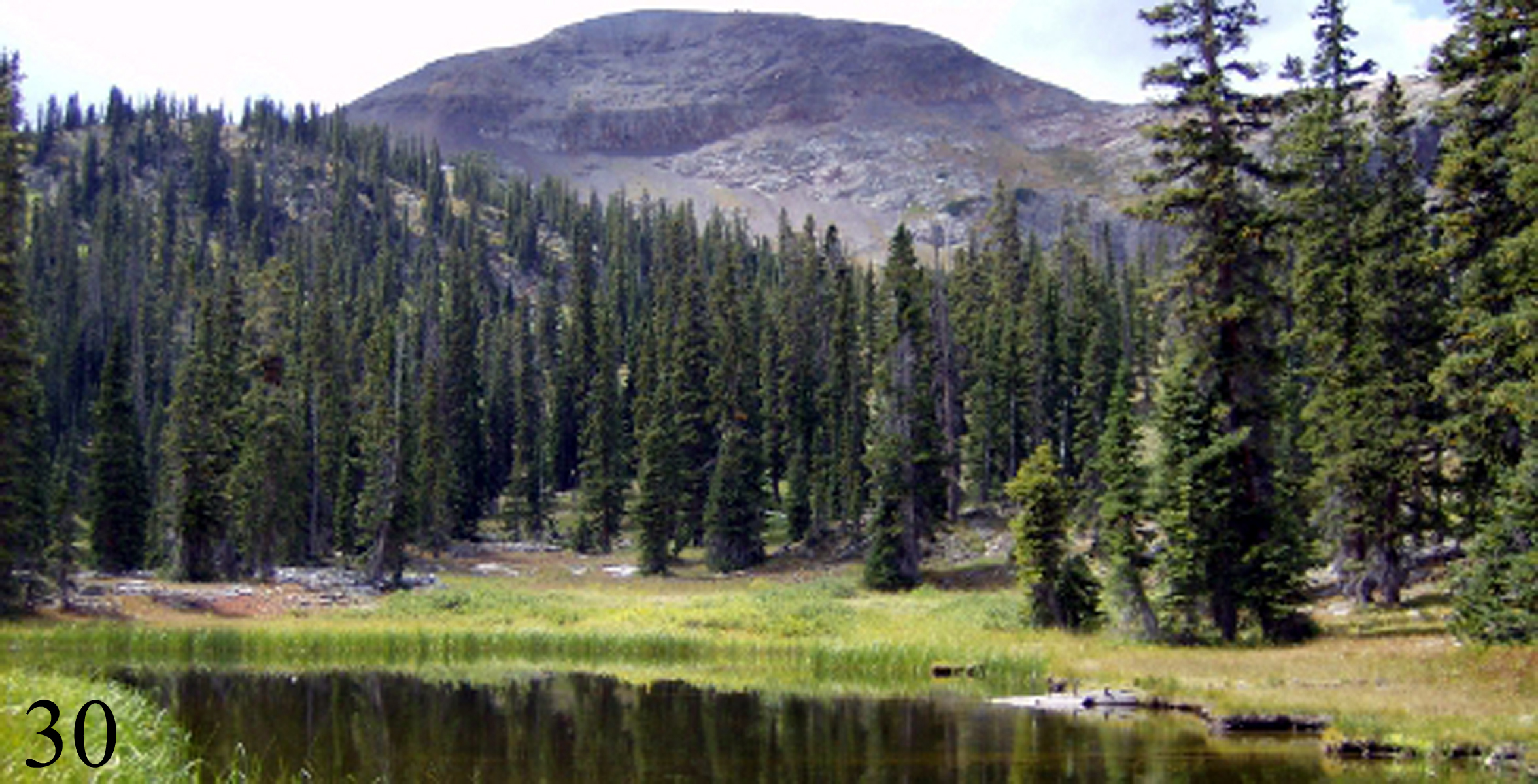 Mexican Cut Ponds  Nature Conservancy