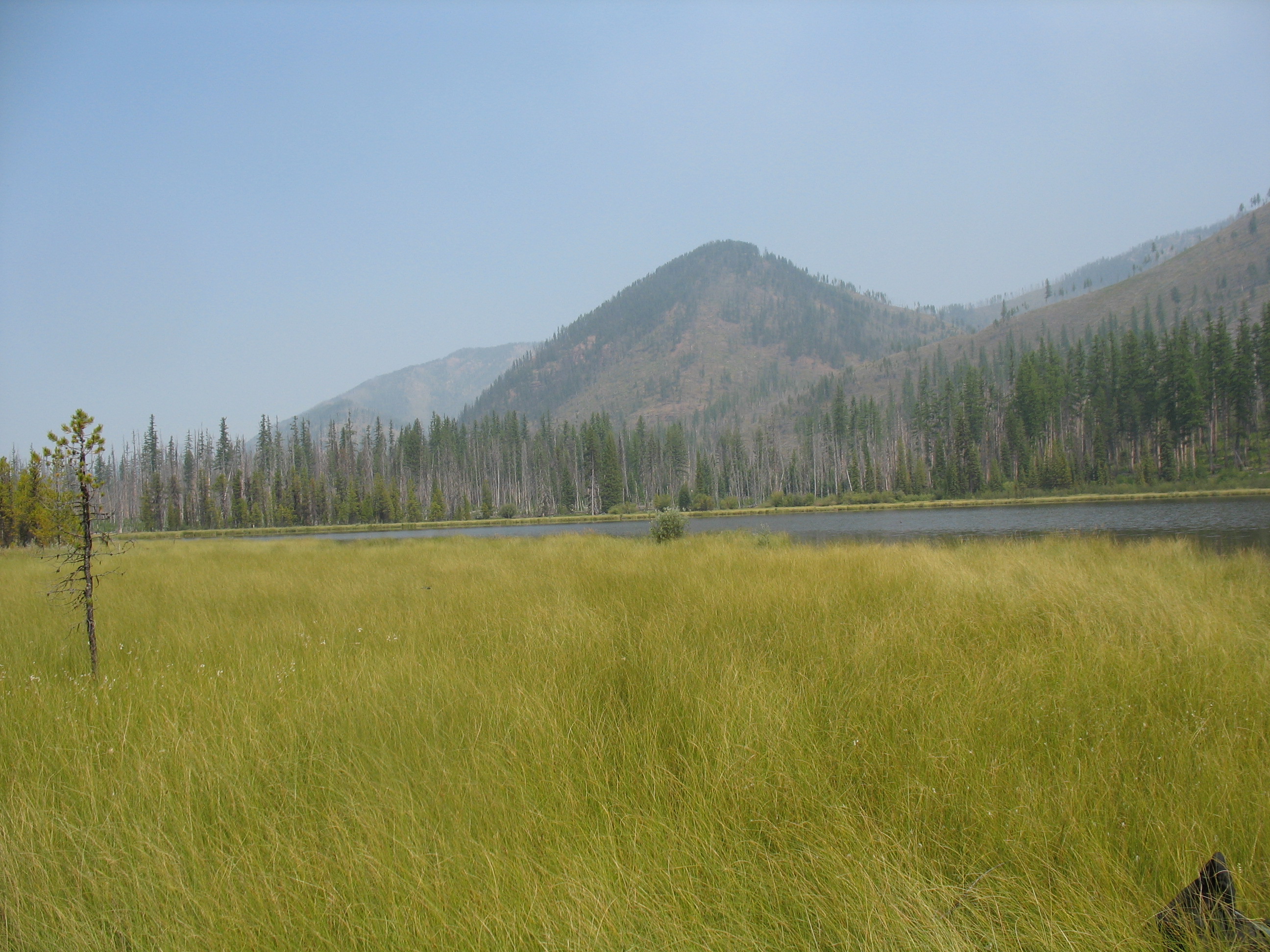 Mud  Lake  Bob  Marshall  Wilderness