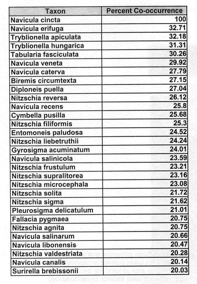 Navcincta Associates