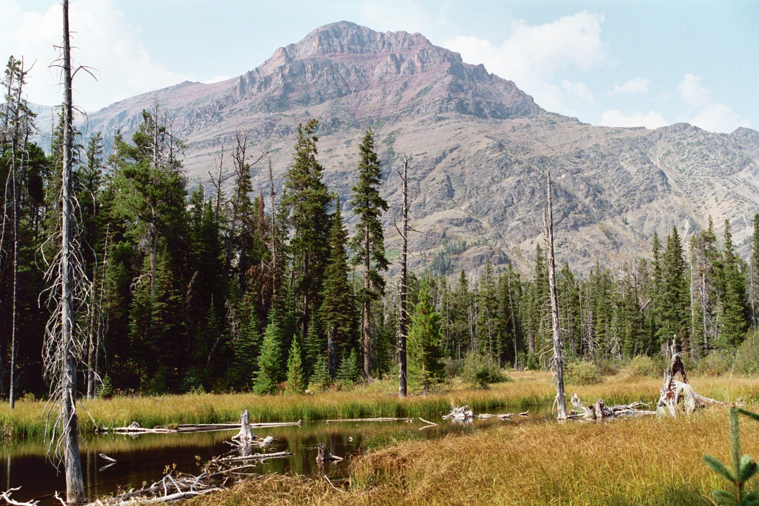 Paradise  Pond And  Rising  Wolf  Mountain