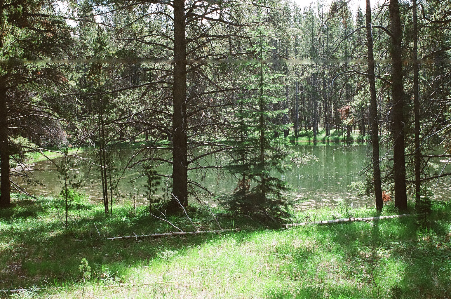 Skinner  Pond 1