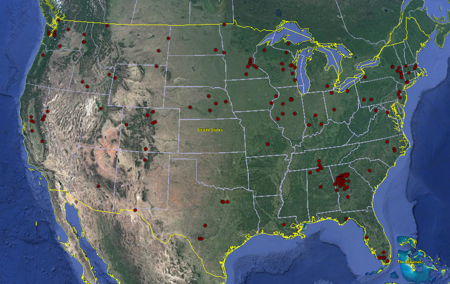 Uldelicatissima  Lower48