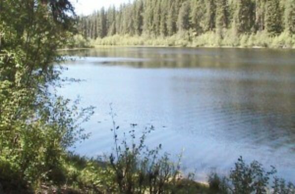 Hoskins  Lake  Montana