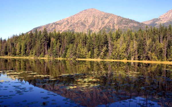 Johns  Lake  Gnp  Hikespeak Com