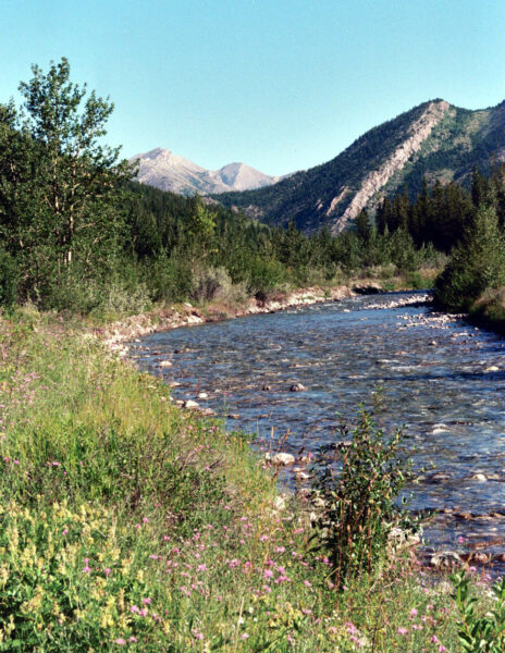 North Fork Teton River