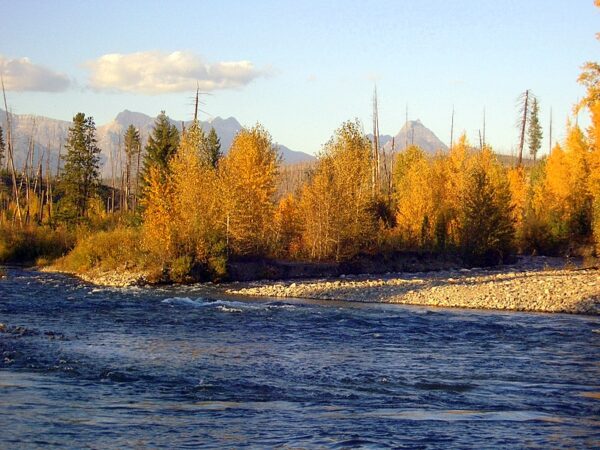 North Fork Flathead