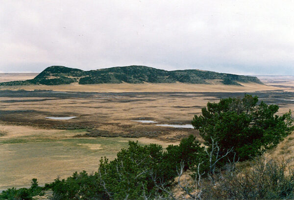 Pine  Butte