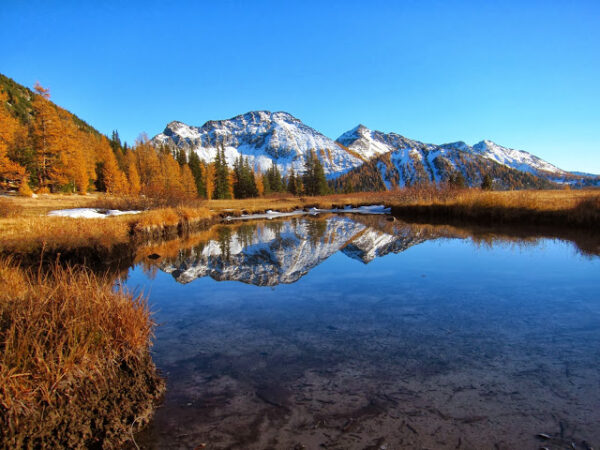 Small  Tarn  Sw Of  Bigelow  Mountain