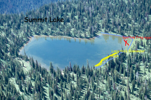 Summit  Lake  General