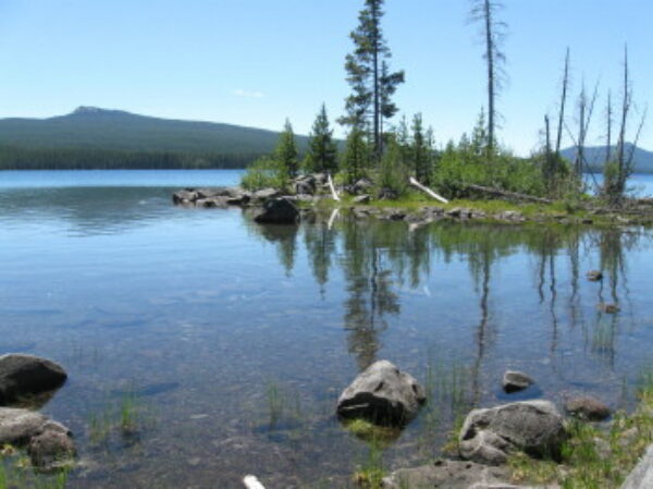 Waldo Lake Boulder Cove