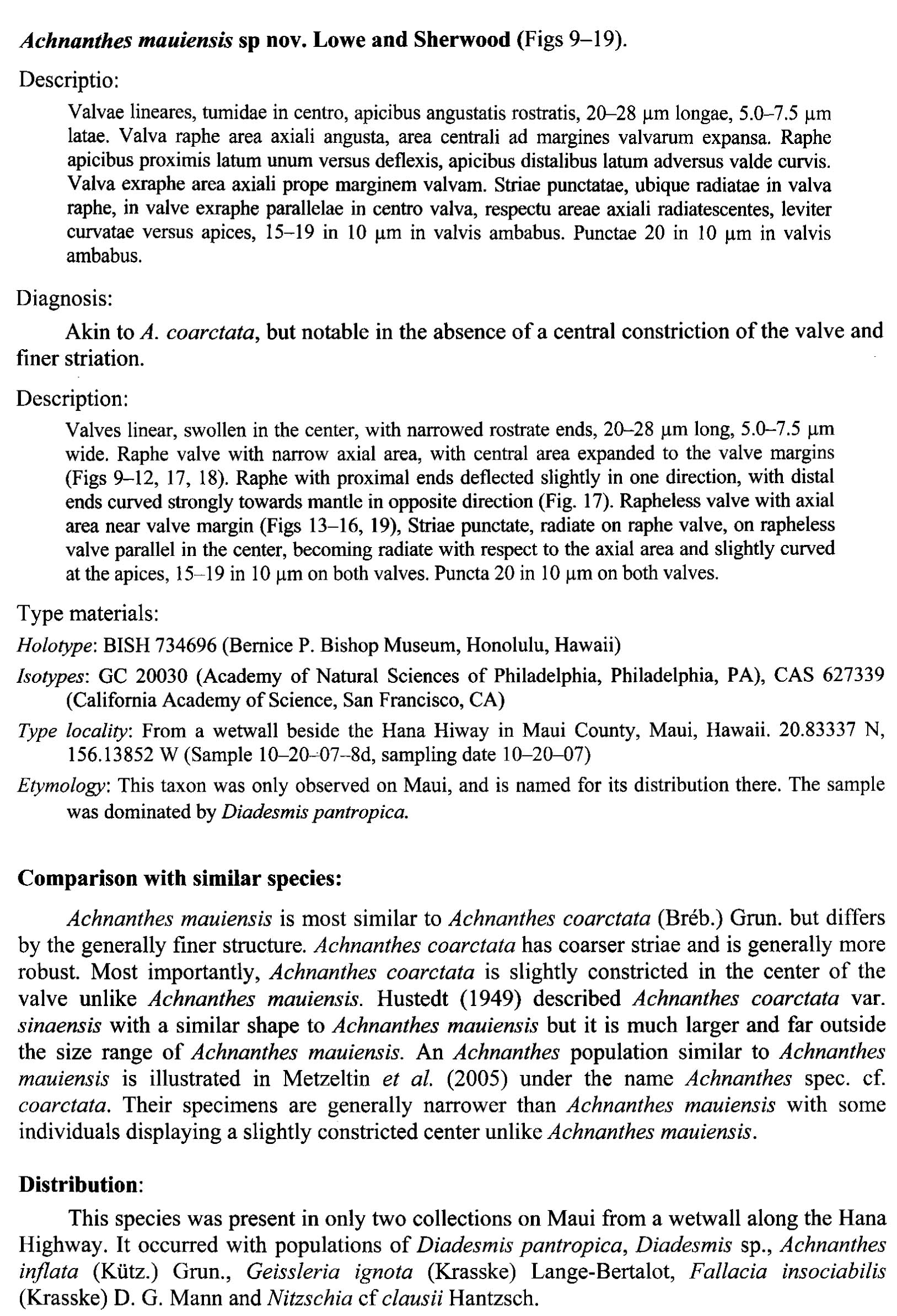 Achnanthes mauiensis orig descr