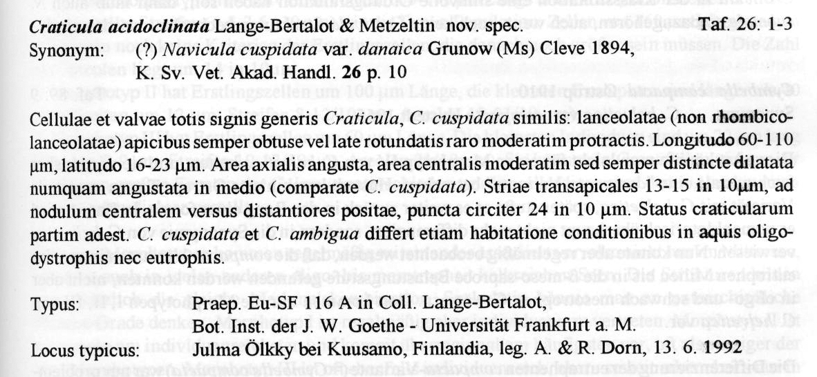 Craticula acidoclinata orig descr