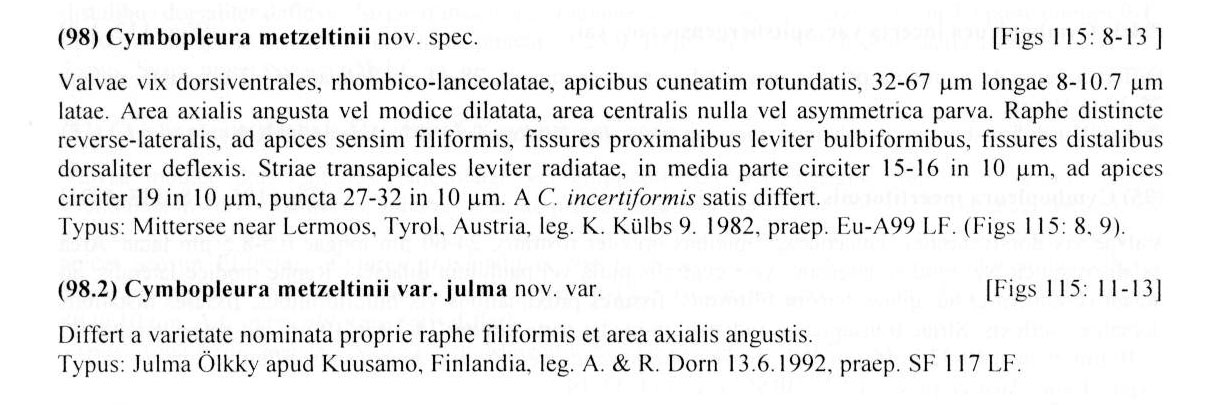 Cymbopleura metzeltinii orig descr