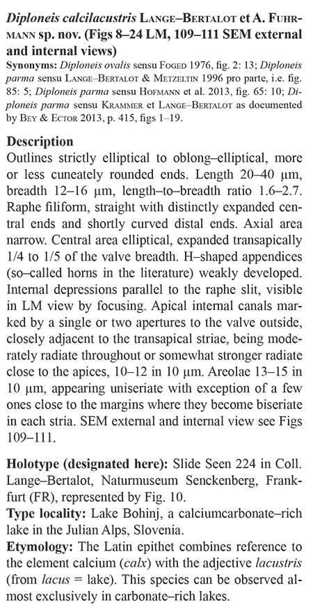 Diploneis calcilacustris Orig Desc