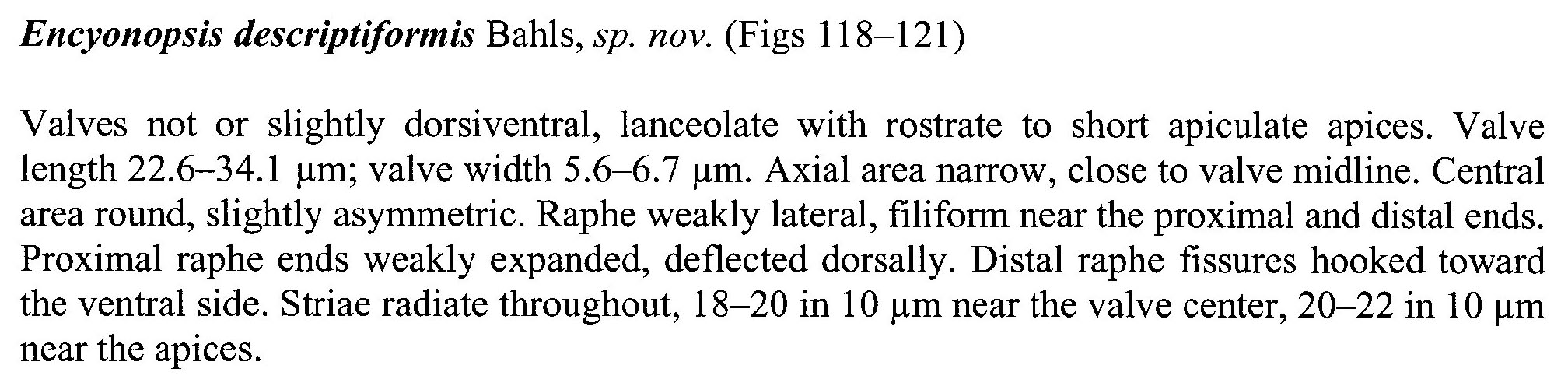 Encyo Descriptiformis Origdesc001