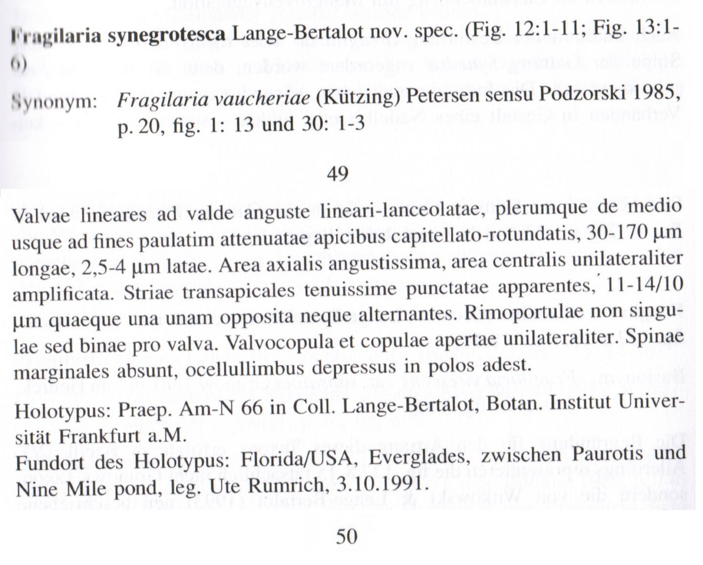 F Synegrotesca Orig Des Abridged