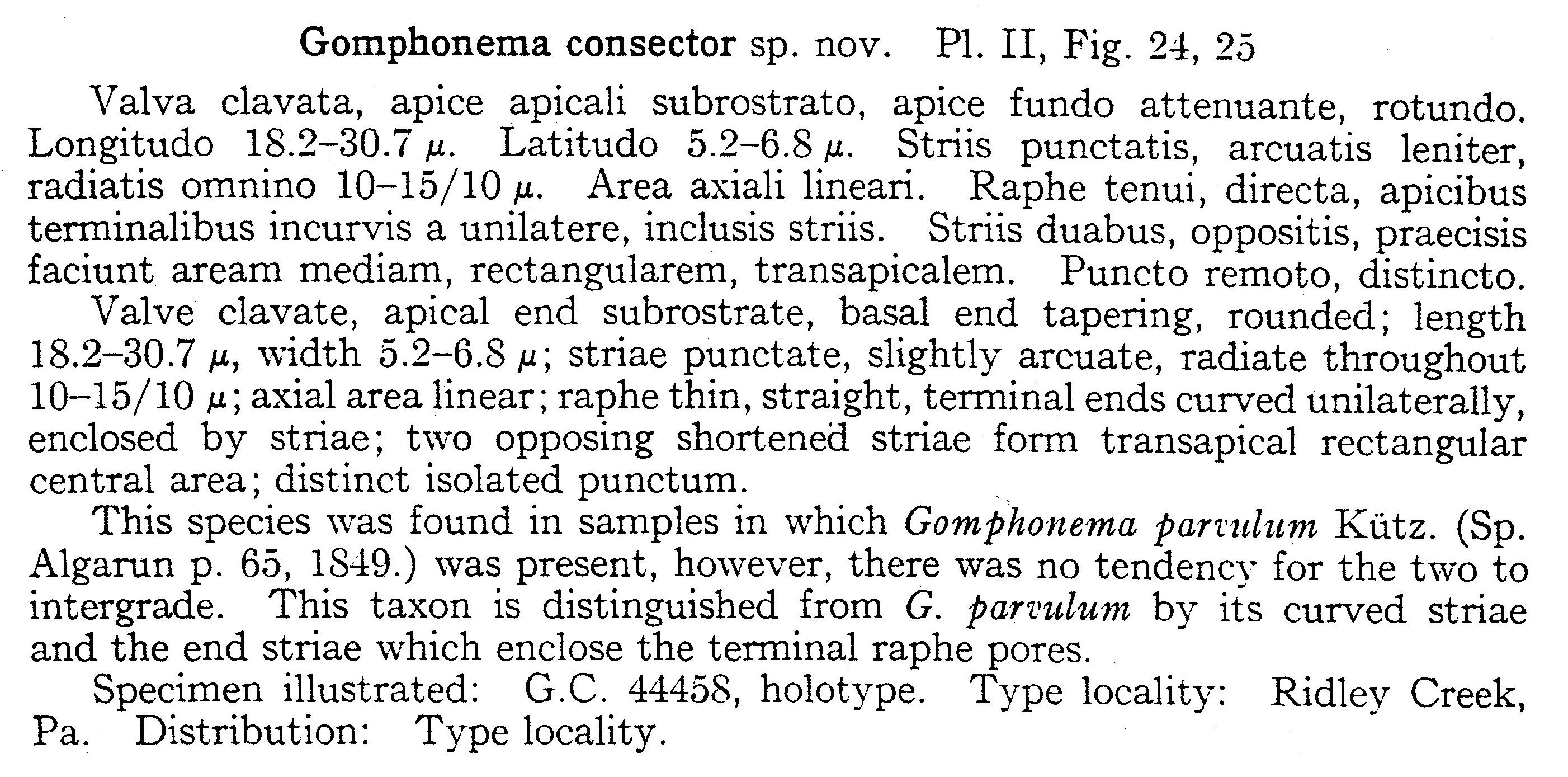 Gomphonema Consector Origdesc002