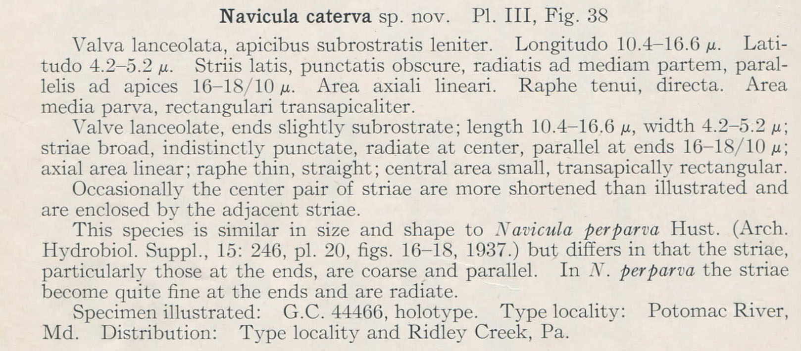 H And  H  Navicula Caterva Description