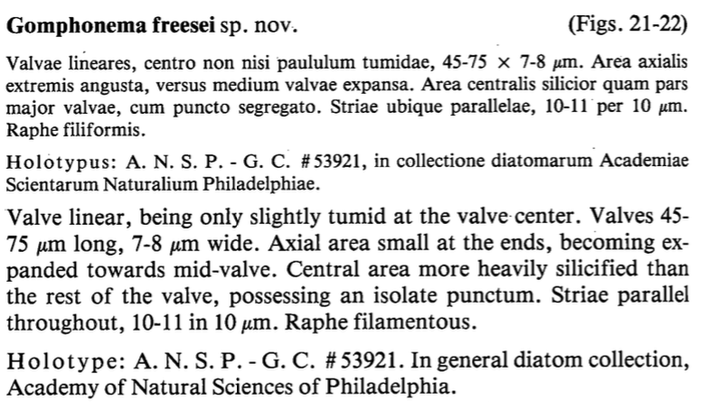 Lowe   Kociolek 1984 Orig Descrip  Gomph Freesei