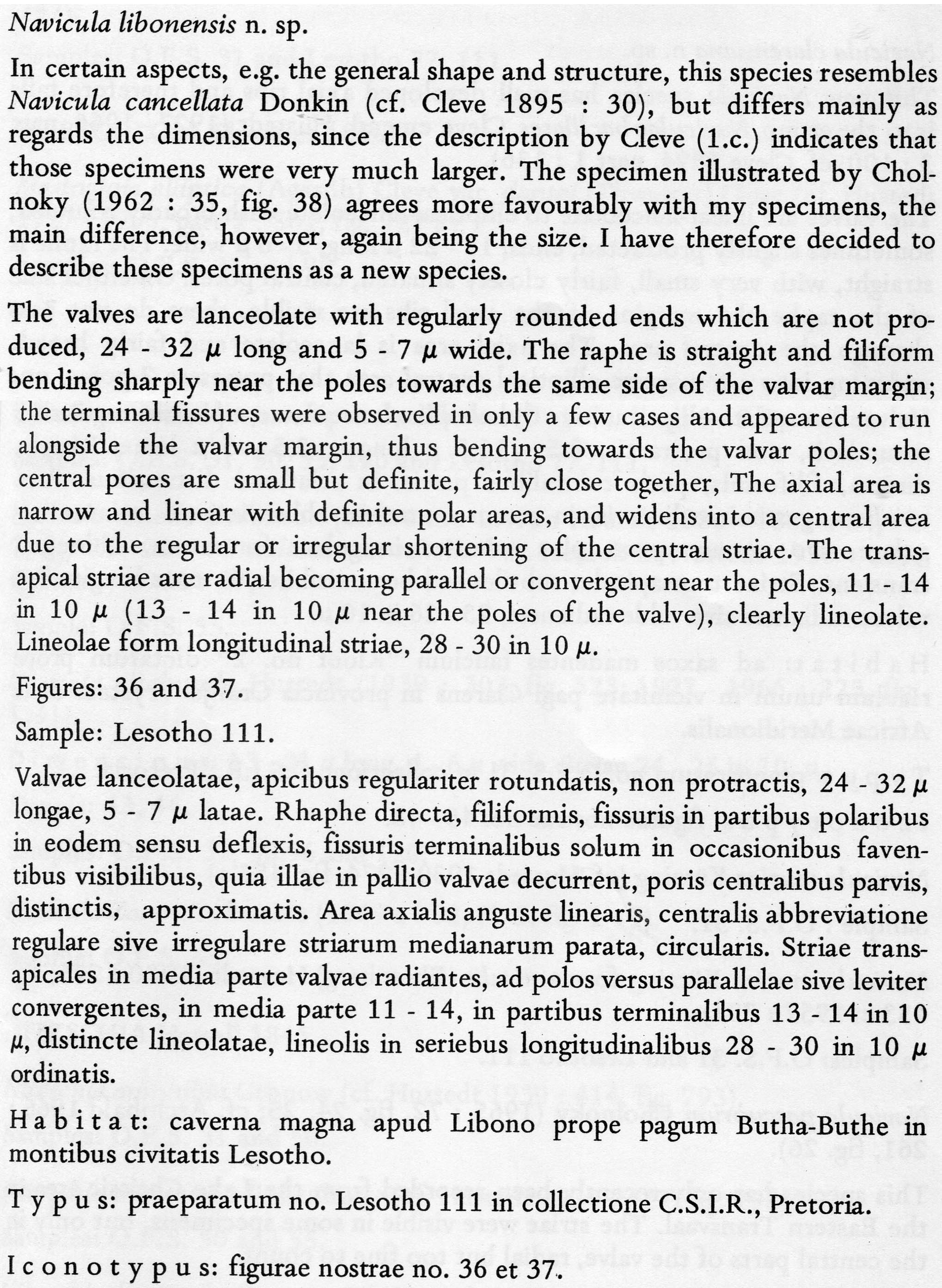 Nalibonens  Or Descr