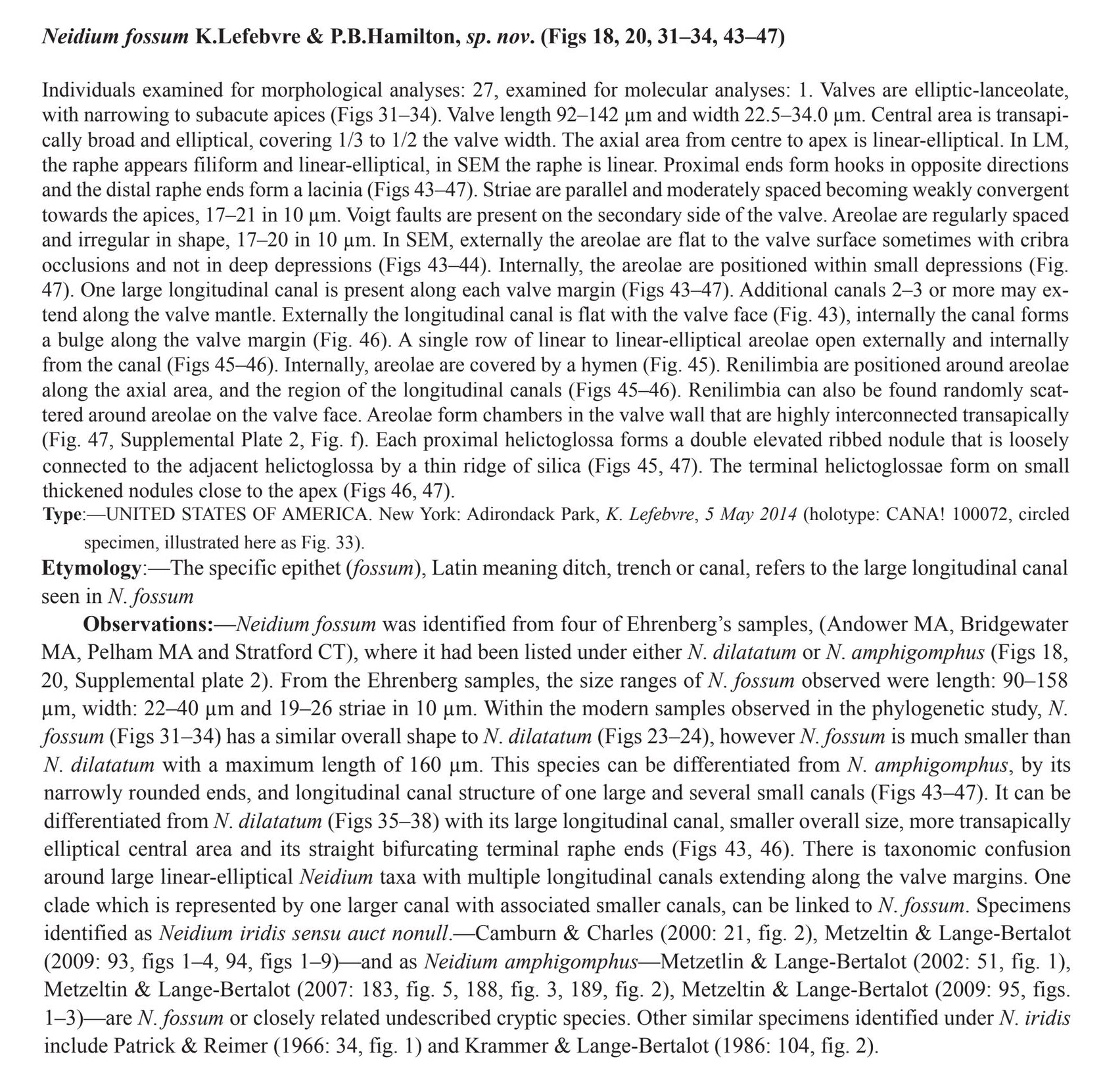 Neidium fossum original description