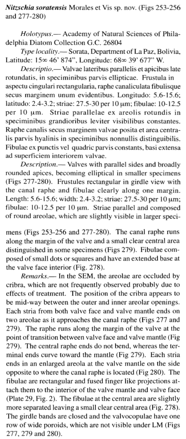 Nitzschia Soratensis Orig Descr