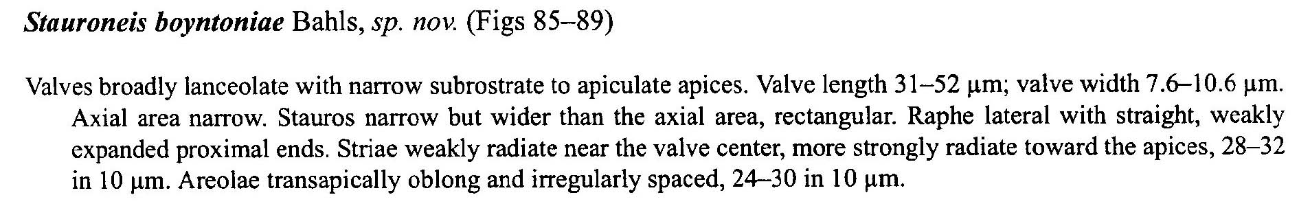 Stauroneisboyntoniae Origdesc001