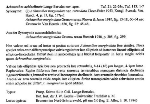 Achnanthes acidoclinata  orig descr