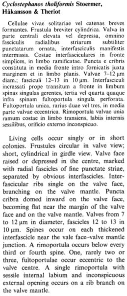 Cyclostephanos tholiformis orig descr