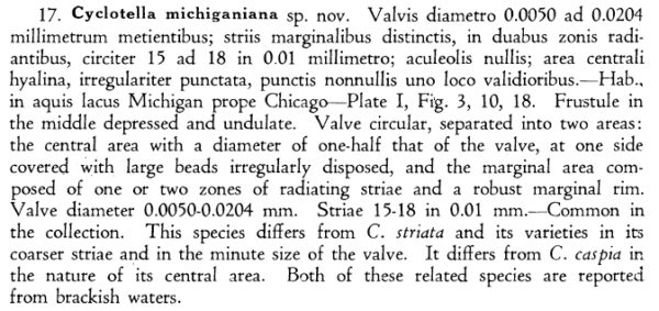 Cyclotella michiganiana orig descr