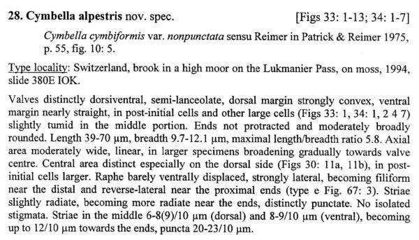 Cymbella alpestris orig descr