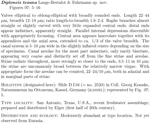 Diploneis texana Orig Desc