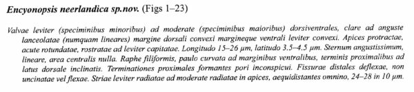 Encyo Neerlandica Origdesc002