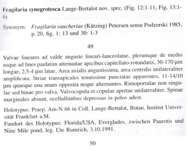 F Synegrotesca Orig Des Abridged